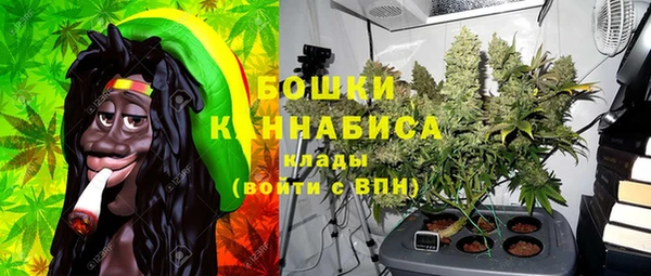 дурь Богданович