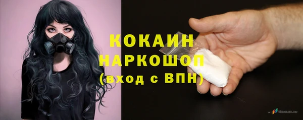 твердый Каменск-Шахтинский