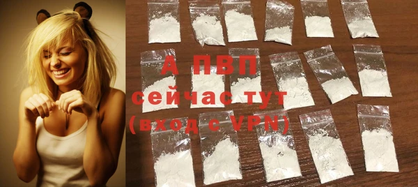 дурь Богданович